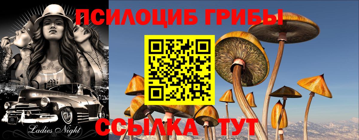 Галлюциногенные грибы Cubensis Краснодар